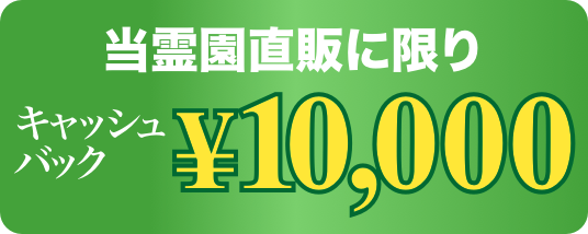 キャッシュバック1000円！